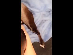 A hot couple gets busy with their dog in this extreme bestiality scene.