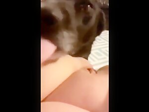 dog knot girl first time