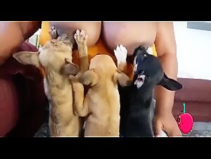 nursing big mom dogporn