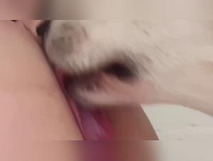 Prostitute and her dog getting fucked by her cat