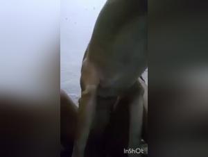 Best Videos of Dog Sexuality, Extreme and XXX, Gay and Lesbian Passion