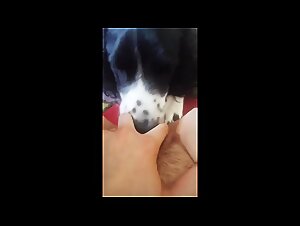 liltimy, dog cock & taboo freedom