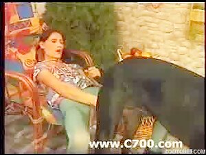 videos bestiality amateurs