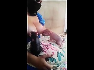 Human-Animal Sex: Is It a Safe Activity for Men?