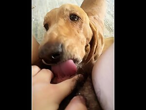 The young girl has a passionate encounter with her dog in the backyard.