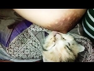 Pampered Zoohamster Delights