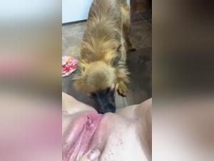 Slut from dog: porn video for all the lovers of animal fucking