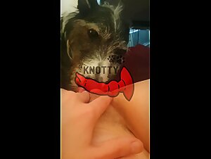 The slave girl makes sex with her dog boy and boy dog