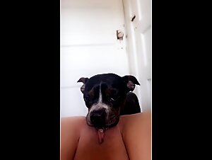 A XXX Video That Will Leave You Speechless About the Dog and Woman's Kisses