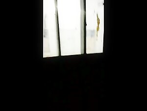 girl suck dog strayx vixen