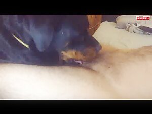 animal domination and muvisex