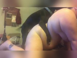 Women Getting Sexed by Dogs: An Unforgettable Experience