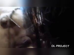 - extreme dog fuck, lesbian fuck her dog