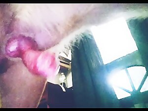 zoofilia porno intense