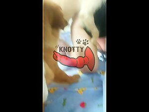 Sexy Female fucks Dog, Animal Porn