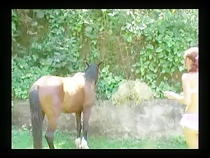 Dogfuck: Understanding Its Role in Beastiality