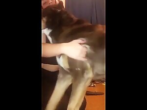 Zooskoolvideos Uncovered
