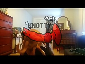 A young amateur uses his Pussy as a Hamster to satisfy the Hunger of His Lover - Cartoon Sex Video