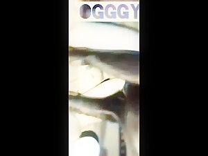 videos zooville woman dog