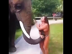 Unforgettable Moments in Animal Porn Video