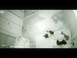 woman and dog girl sucks dog dick