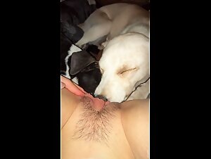 TickZoo & the Shades of Bestiality