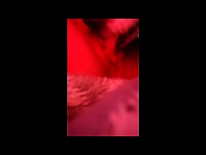 Beastiality Sites Exposed