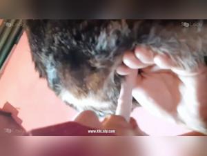 A Unique Selection of Animal Lovers Moments