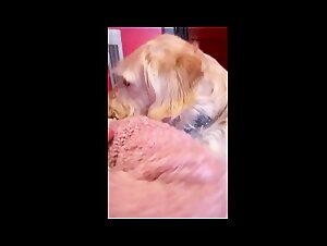 Denise Frazier & Dog: Scandalous Content
