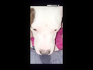 new beastiality show