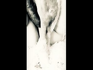 Pregnant Blonde gets Screwed by her Dog and then Sucks His Cock while her Bitch is getting Screwed by the same Dog