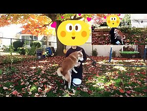 Erotic Bestiality Videos: Explore Our Zoo Erotic and Porn Zoophilic Content