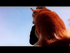 Les videos of beastiality for the sluts