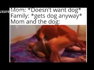 Boundaries & Ethics: dog bj, tickzootv