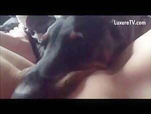bestialzoo dog lick