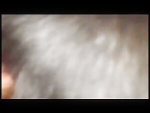 seduce dog zooxhamster