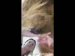A passionate affair between the wife of my husband and his loyal canine companion.