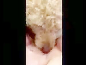 dogsexporn animalxxx girl