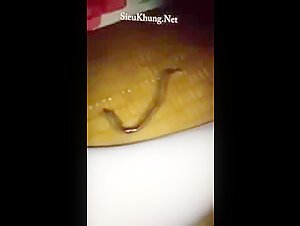 art and unusual encounter