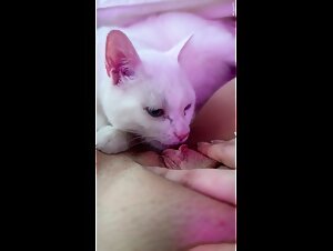 kitty and dog sex