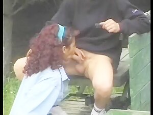 erfahrung mit wildpferden in freiheit