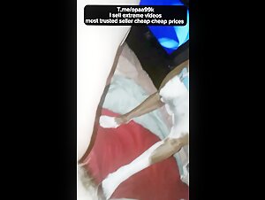 zoofilia porno zooyouporn