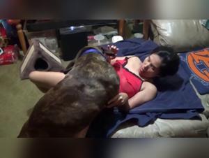 Bestiality Videos with Dogs of Women - Explicit Content