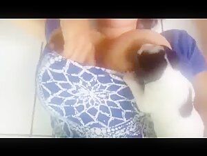 shocking bestiality video
