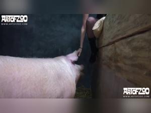Boar JAdore - Extreme Zoo Pornography Video Extract