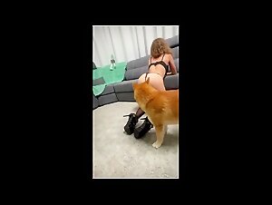 Dogs indulge in female vices: an animal passion explosion and bestiality with women