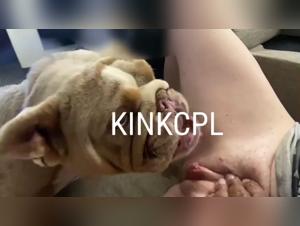 Watch Sexy Women F***ing Dogs