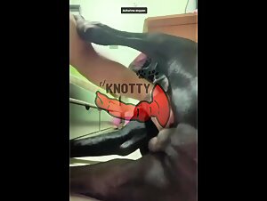 The French woman gets sex with her dog and an enormous dog in a Mexican landscape.