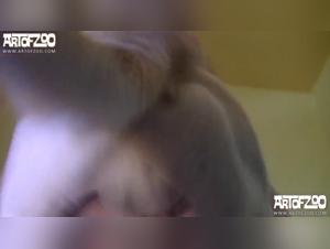 The Slut Who F*cks Her Canine Lover for a Crazy XXX Video