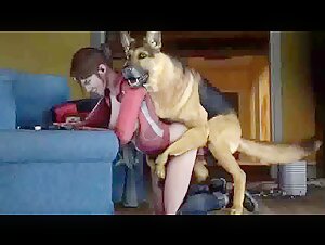 videos petsex female dogs in heat